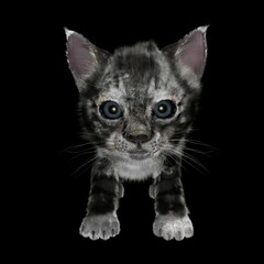 computer rendered illustration of a kitten