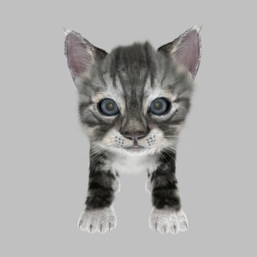computer rendered illustration of a kitten