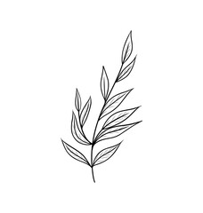 Vector sketch illustration. Palm foliage. Continuous line drawing. Vector outline illustration. Palm leaves.