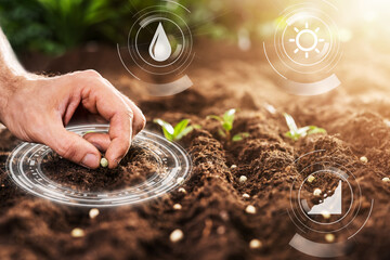 Farmer's Hand Planting Seeds In Soil