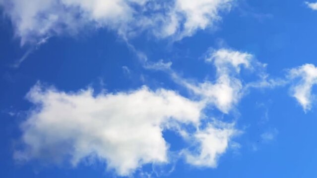 White clouds in the blue sky background. Timelapse. Sunny day. Partly cloudy. Weather forecast. Sunlight. Cloudscape. Wind move. Cyclone and anticyclone. HD video footage. Atmosphere pattern. Heavens.