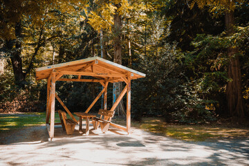 Wooden gazebo structure  in forest. Empty Bench On Field By Trees