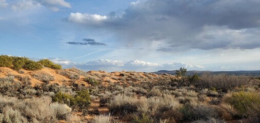 Near the Coral Pink Sand Dunes State Park