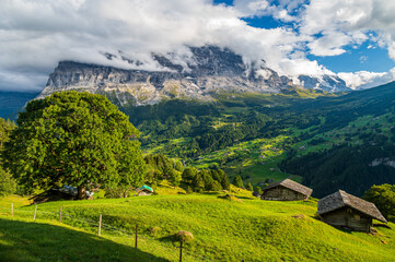 Fototapeta na wymiar Mountain Hut in Grindelwald