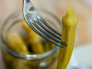 Pod of pickled okra skewered on fork. Marinated ladies' fingers.