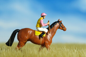 Miniature people toy figure photography. A jockey man riding horse at dried meadow field for...