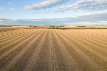 Looking along the horizon at the crops ready for plowing.