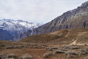 group of people walking the trail of a hill in the middle of the andes chile