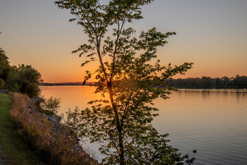 Orange sunset reflected on a wide river, tree and river bank in foreground, nobody