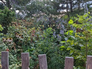 Naklejka premium Lush Perennial Garden in Battery Park City, New York - August 2022