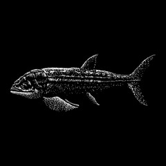 Leedsichthys hand drawing vector illustration isolated on black background