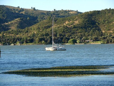 Bote en el Lago