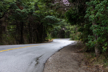 Caminhos por Bariloche