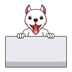 Cute dogo argentino dog cartoon holding blank sign