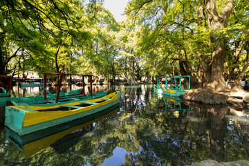 Obraz premium Colorful boats floating on crystal clear water at Lago de Camécuaro, Michoacán, Mexico