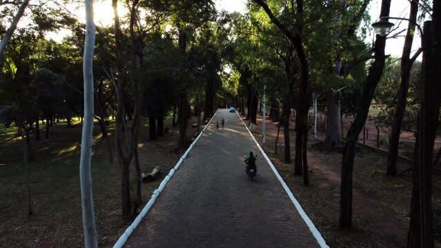 Aerial shot over pathway through lush green botanical garden during spring flowers in Botanical Garden of Asuncion, Paraguay at daytime.
