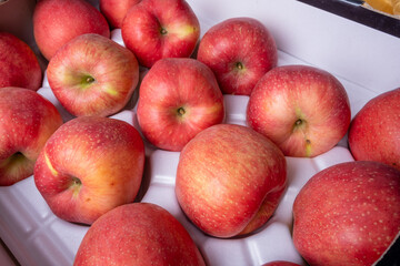Korean delicious fruit dessert apple