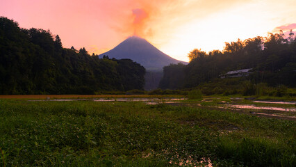 A lake overgrown with aquatic plants with a mountain background and surrounded by forests. Mount Merapi which is actively emitting smoke at sunrise - Bego Pendem, Slope of Merapi Volcano