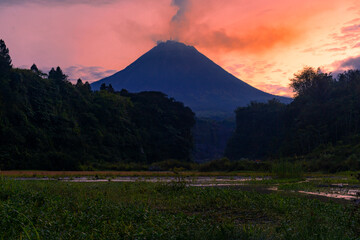 A lake overgrown with aquatic plants with a mountain background and surrounded by forests. Mount Merapi which is actively emitting smoke at sunrise - Bego Pendem, Slope of Merapi Volcano