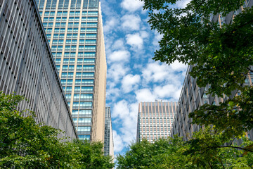 Plakat 並木道と高層ビル、東京の都市風景。