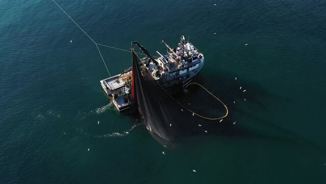 A bird's eye view of a large fishing vessel retrieving its nets. Impressive view with birds flying around fishing boat fishing in blue waters.