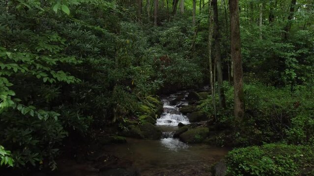 Approaching small water stream waterfall in Smoky Mountains forest near Waynesville, North Carolina