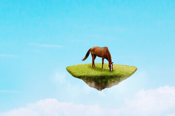 Brown horse grazing on the floating island