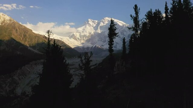 Aerial shot of flying through trees towards Nanga Parbat, Fairy Meadows Pakistan, snow-capped mountains, cinematic drone shot