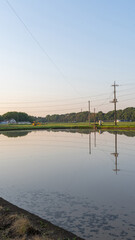 朝日に照らされる田植前の田んぼとあぜ道と重機（縦）