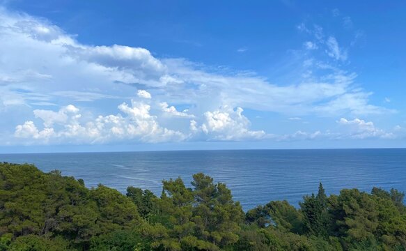 Beautiful clouds over the sea and forest.