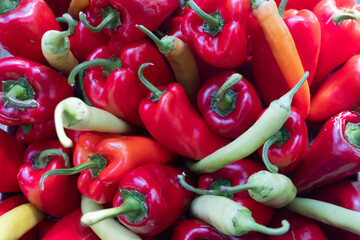 Organic red paprika and hot chilly peppers closeup