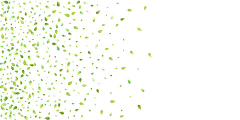 Leaves Green Falling Flying Foliage Leaf Tea Mint