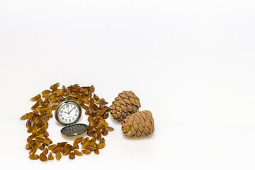 ears of wheat, nuts, seeds of fruit crops on a white milky background, for design solutions.