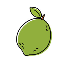 Lime Fruit Outline Illustrations