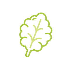 Lettuce Vegetable Simple Line Illustration