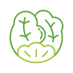 Cabbage Vegetable Simple Line Illustration