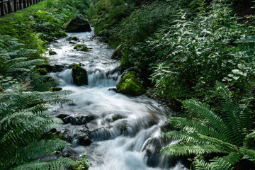 滝 渓流 長野 清流 白糸の滝