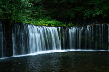 滝 渓流 長野 清流 白糸の滝