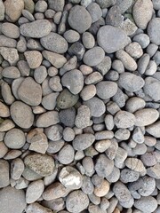 a close-up photo of the pebbles. gray and oval and round
