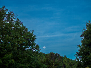 早朝の十六夜の月