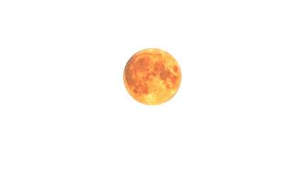 full moon on a white background
