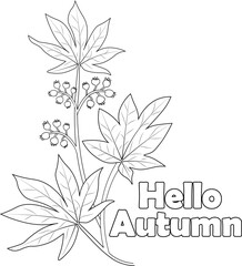 Autumn falling leaves coloring page hand drawn vector pencil sketch of botanical collection branch 
 leaf vector illustration engraved ink art isolated image on white background clip art.