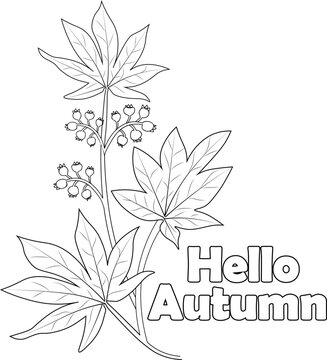 Autumn falling leaves coloring page hand drawn vector pencil sketch of botanical collection branch 
 leaf vector illustration engraved ink art isolated image on white background clip art.