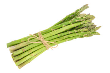 Close-up of a fresh raw asparagus bunch tied with a burlap twine isolated on a transparent background.