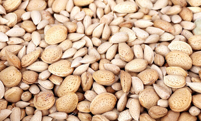Almond nut full horizontal background