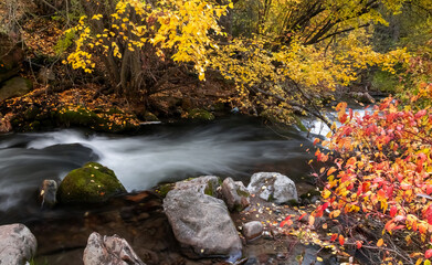 Naklejka na ściany i meble Big Cottonwood creek during autumn time