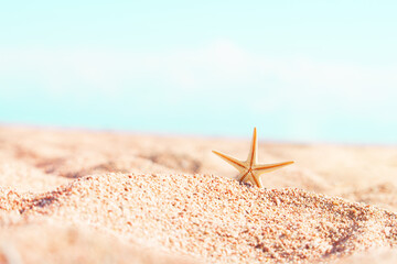 Fototapeta na wymiar Starfish on sand summer beach, behind the sea, sunny. Relax, sea, travel. Copy space