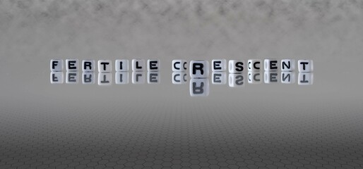 fertile crescent word or concept represented by black and white letter cubes on a grey horizon...