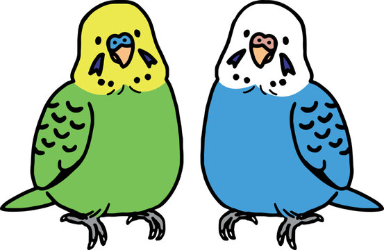 セキセイインコ Images Parcourir 481 Le Catalogue De Photos Vecteurs Et Videos Adobe Stock