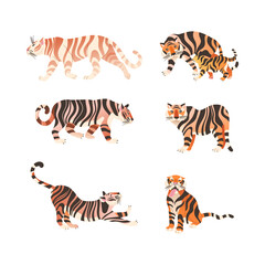 Fototapeta na wymiar Adult Big Tiger with Striped White and Orange Fur as Largest Living Cat Species Vector Set